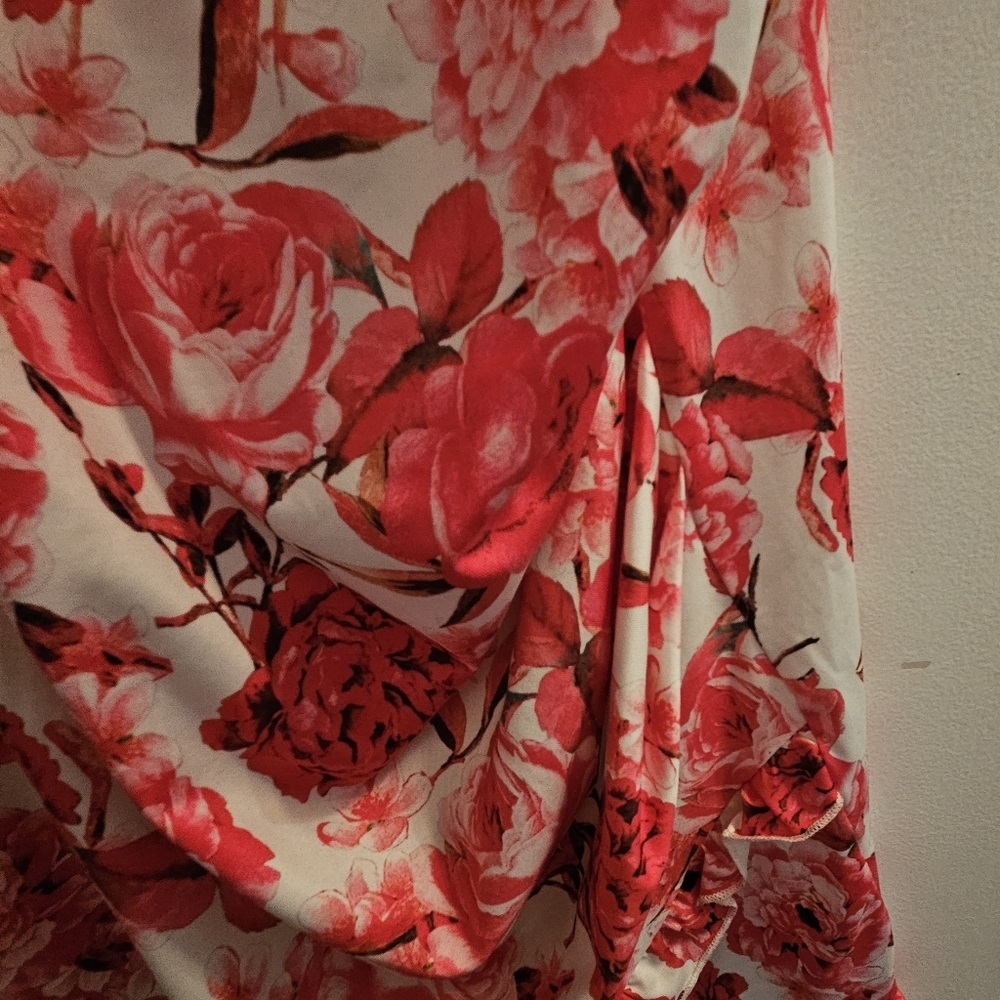 Floral Red and White Dress - Picture 3 of 5